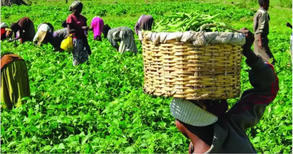 How Artificial Intelligence Can Revolutionize Agriculture in Nigeria – Expert Insight