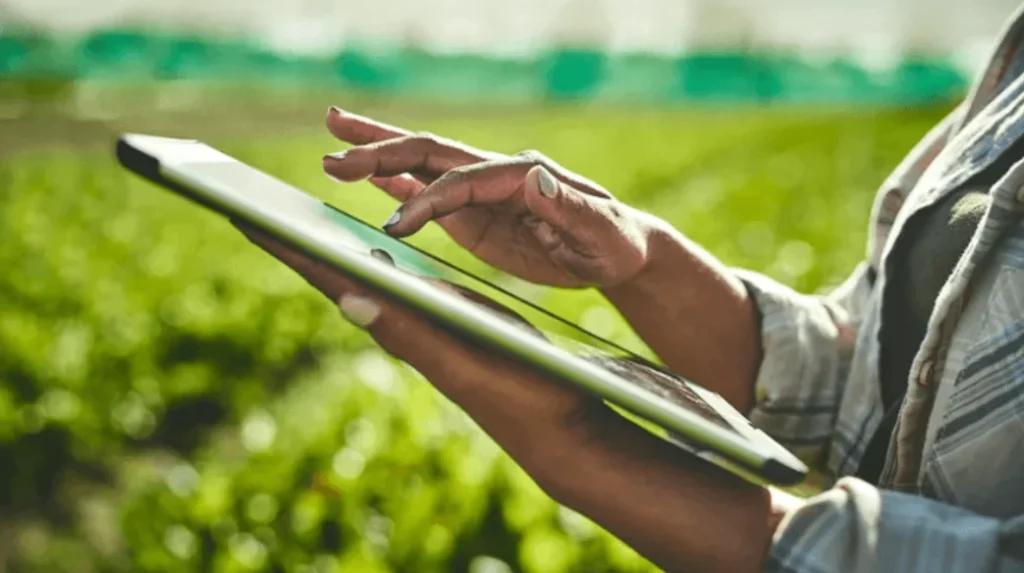 SeedFi and Winich Farms Launch Produce-Backed Loans to Boost Farmers’ Access