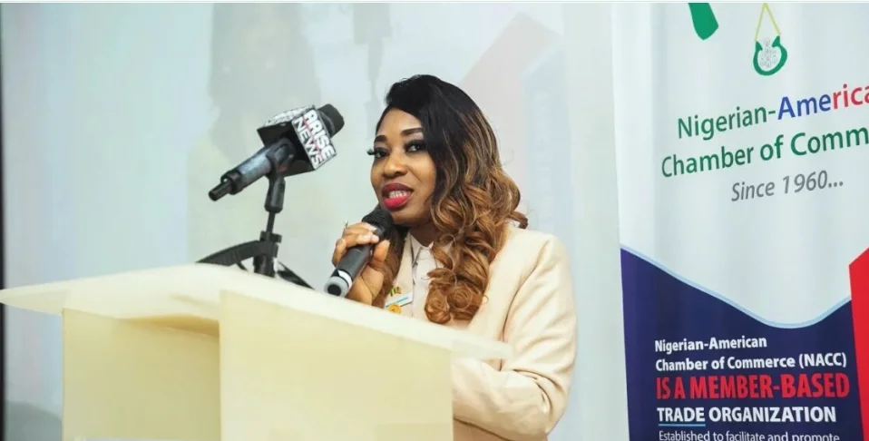 Nigeria’s Technology Sector Cannot Thrive Without Stable Power Supply, Says NACC Director-General